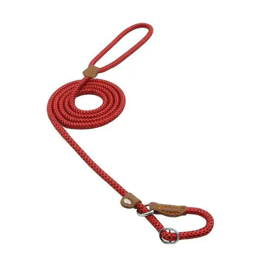 Dog Leash NovaLuxShop